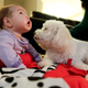Foto: Chris Carlson / AP Images.